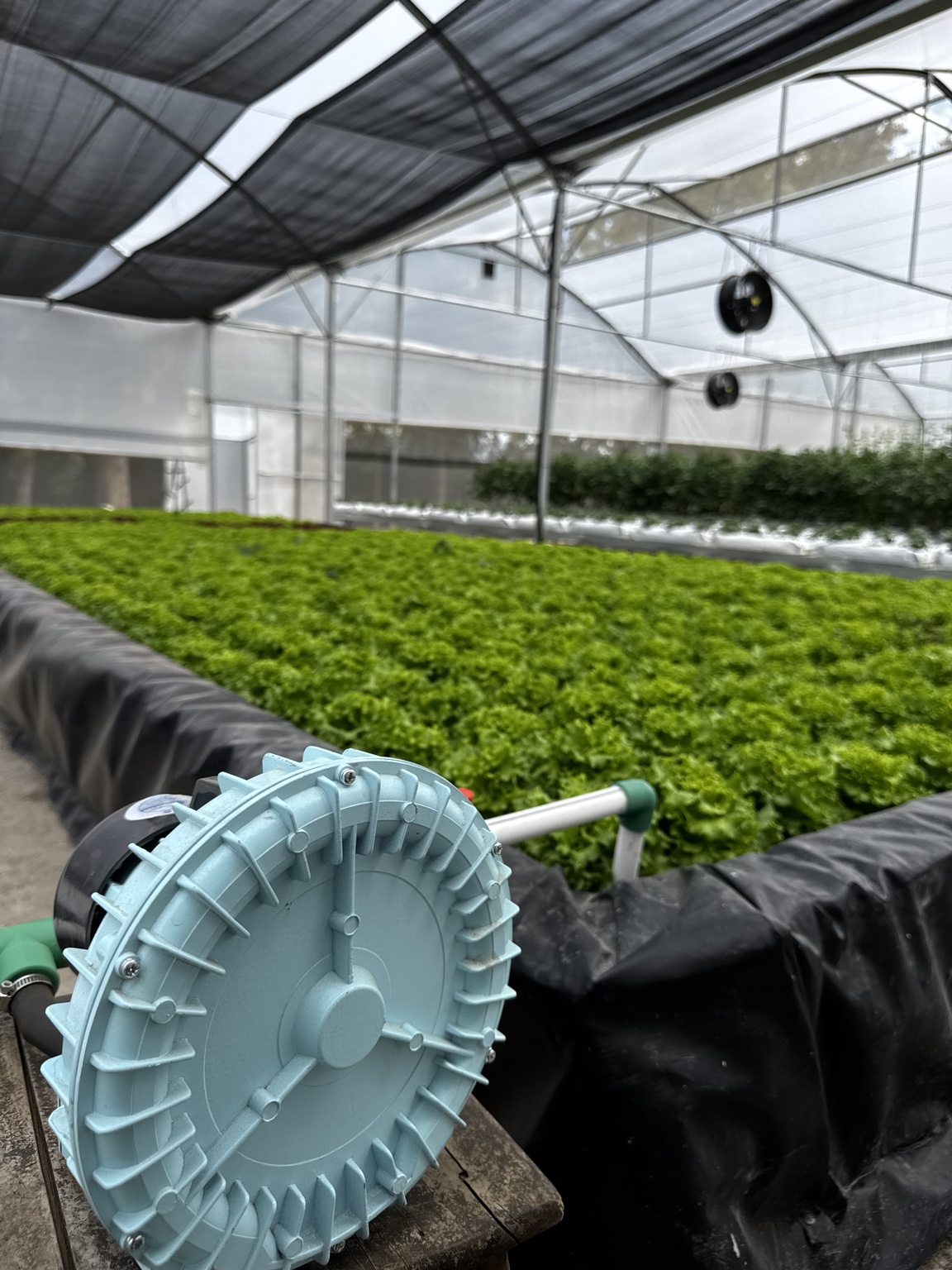 Air blower beside hydroponic lettuce beds inside a greenhouse.
